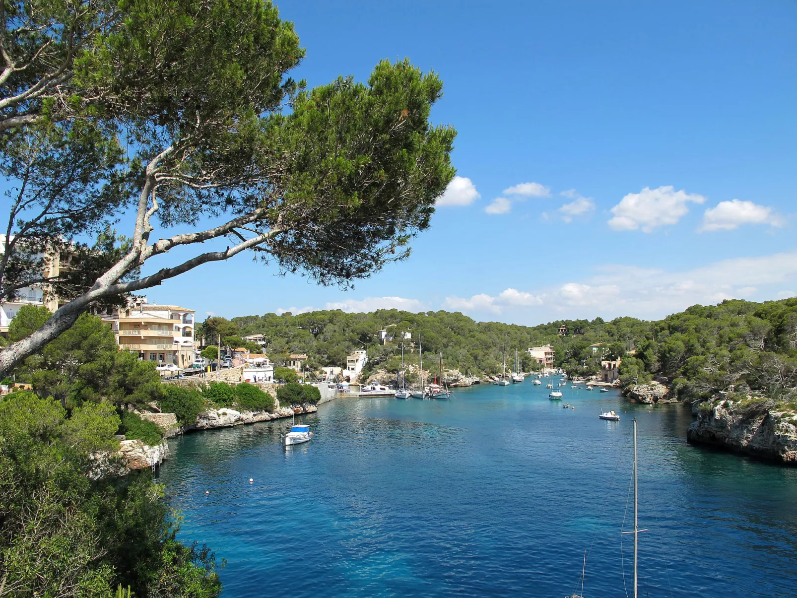 Can Molino - Environnement