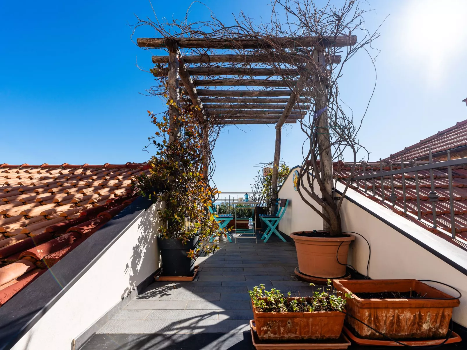 Terrazza con glicine - Dehors