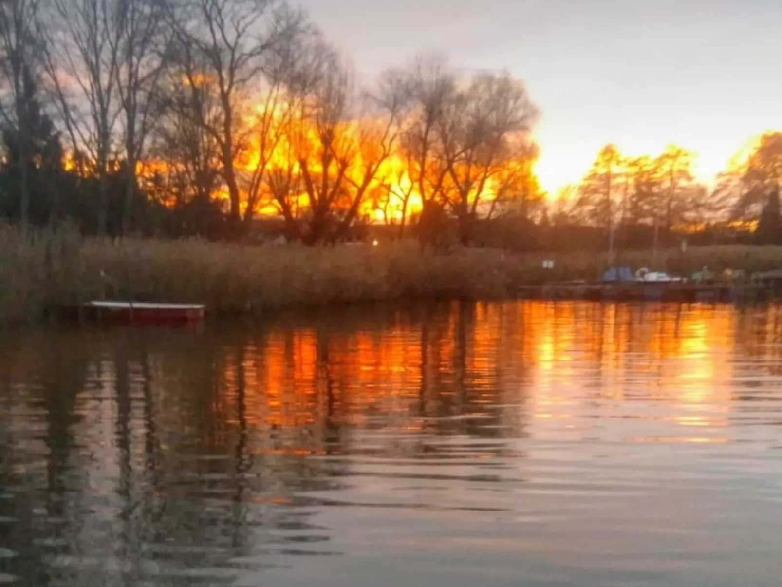 Ferienbungalow auf Gartengrundstück - Outside