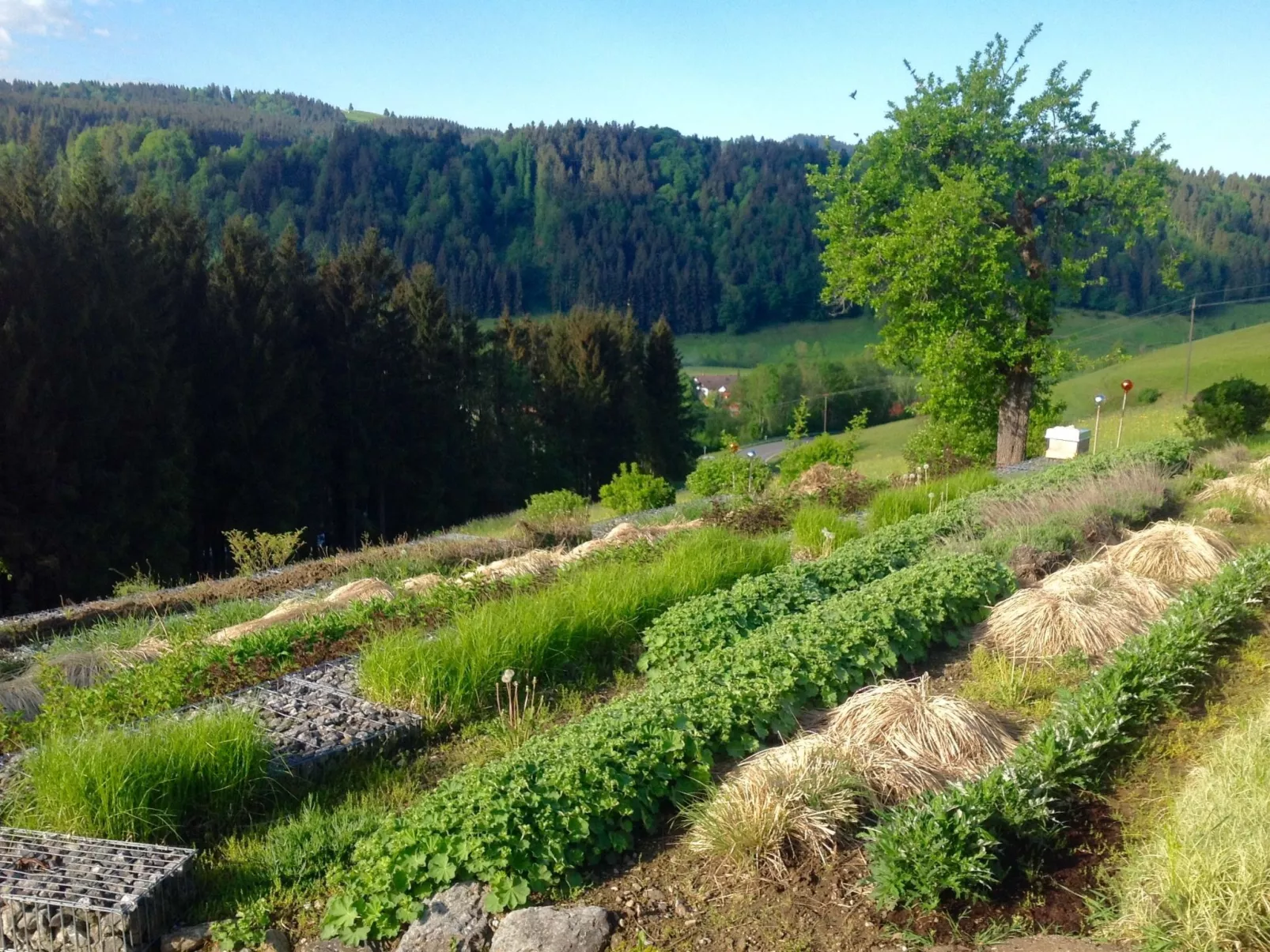 Kräuterhof-Ferienwohnung - Draußen