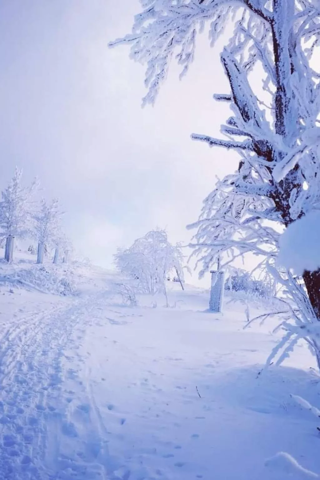 Gästezimmer mit Blick auf die Berge - Draußen