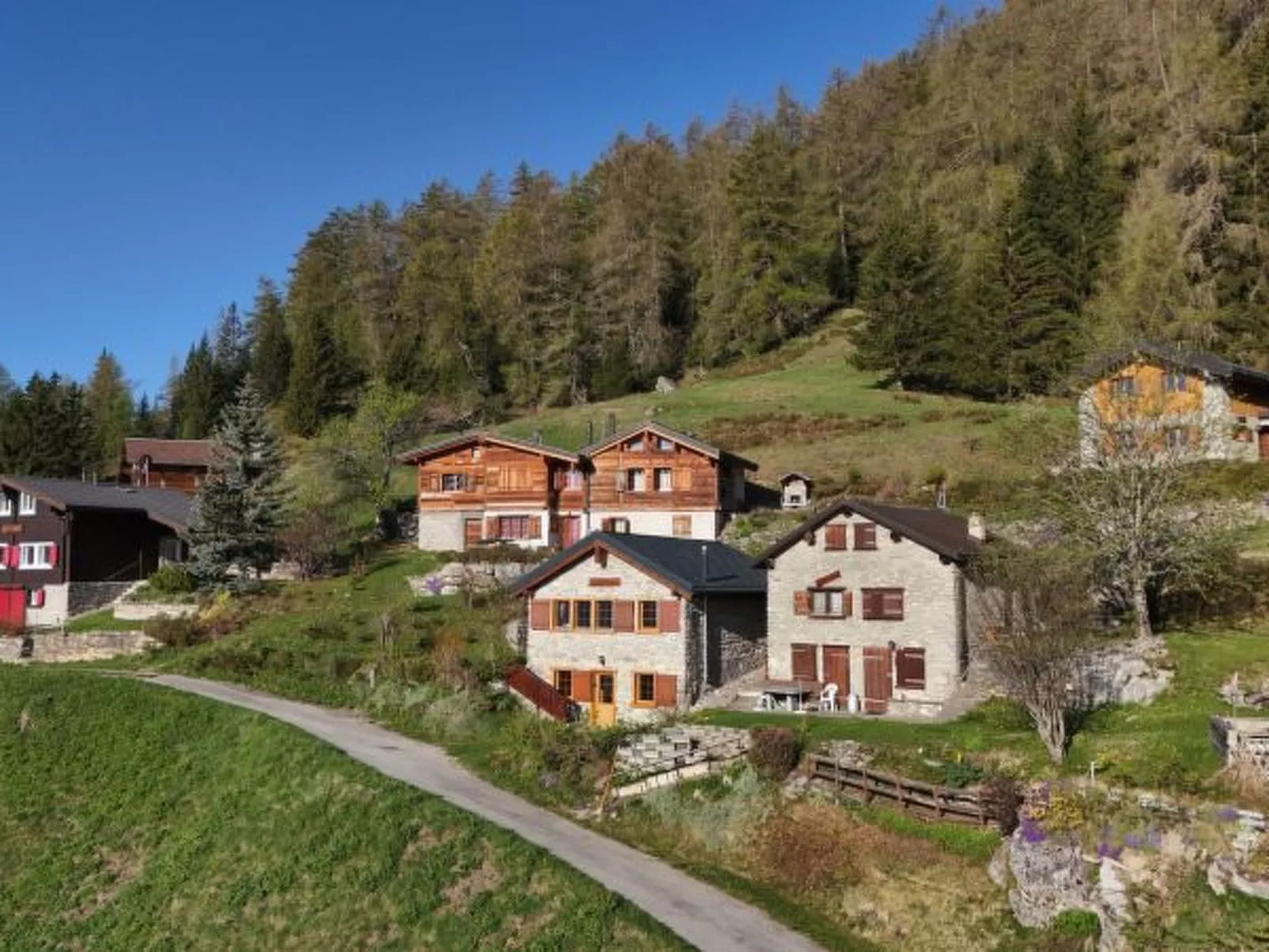 Tiny House facing the Alps - Ski in and out - Outside