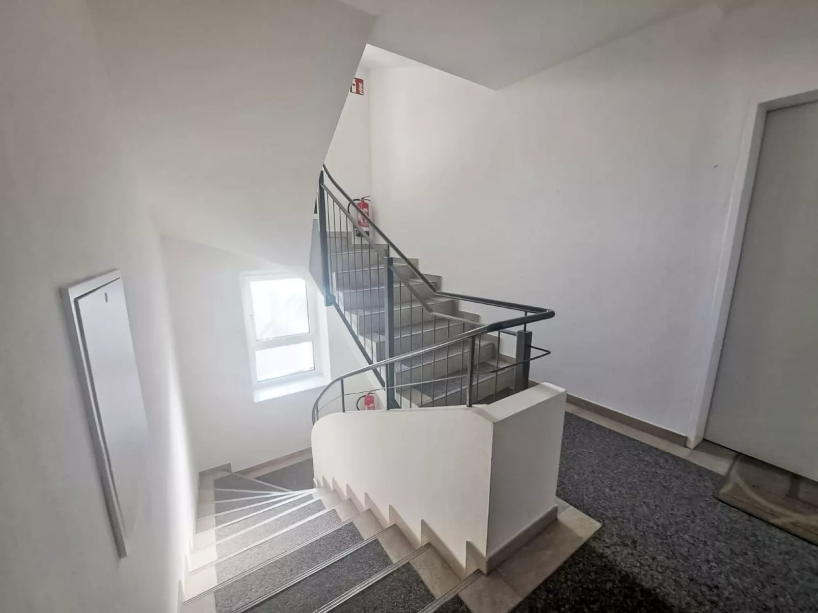 Dr. Adler Top 2 - Dedans