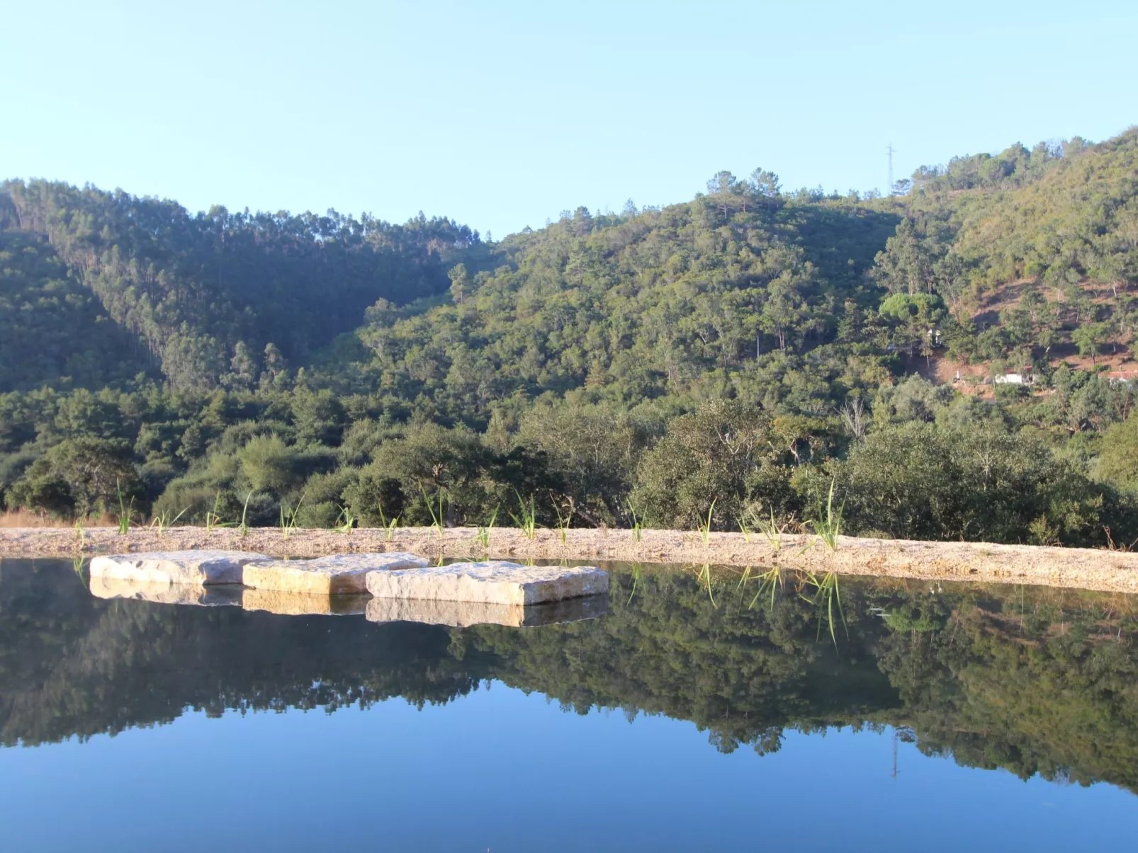 "The Natural Elements" - Outside