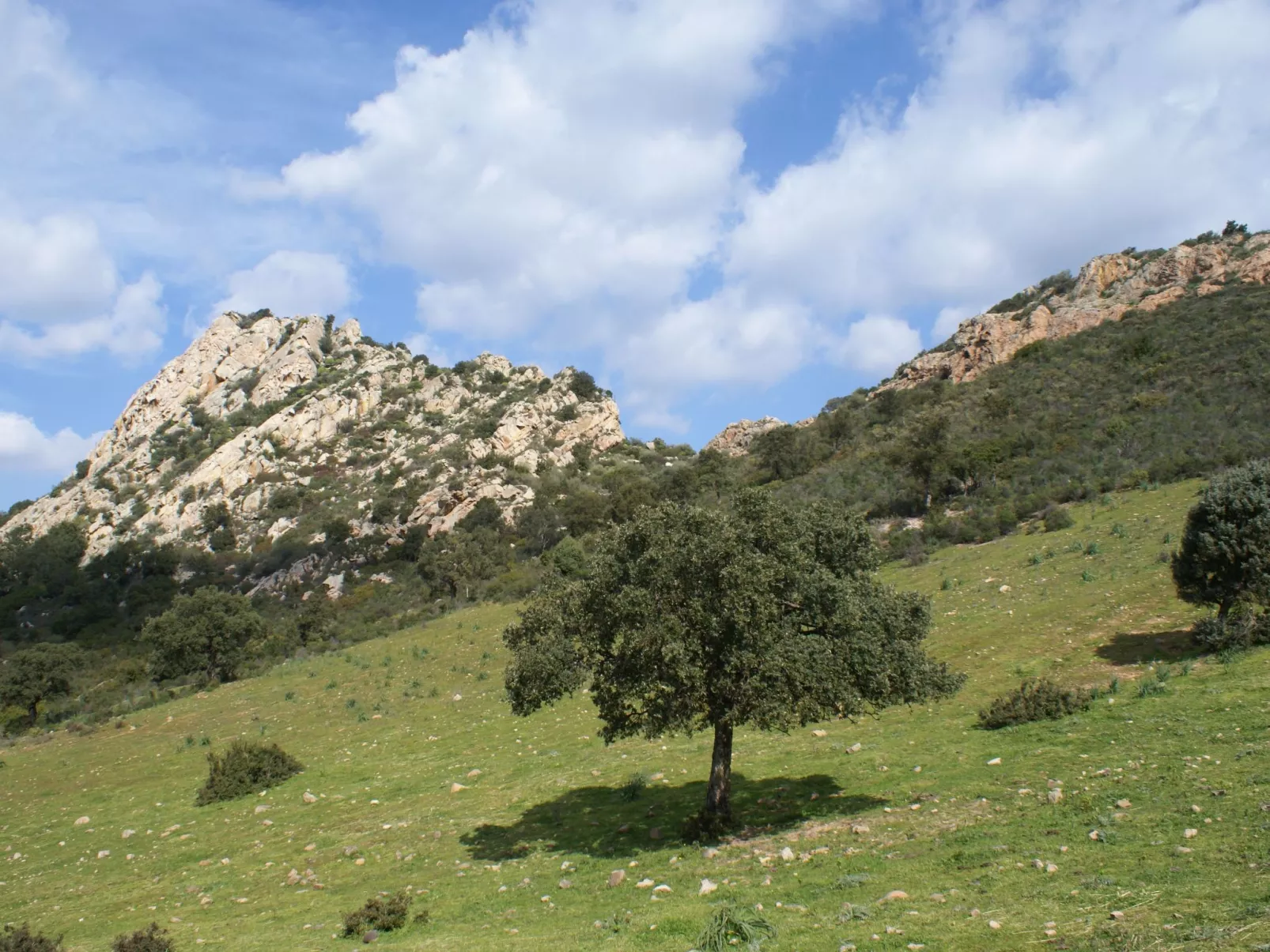URLAUB AM MEER AUF DEM BAUERNHOF - Dehors