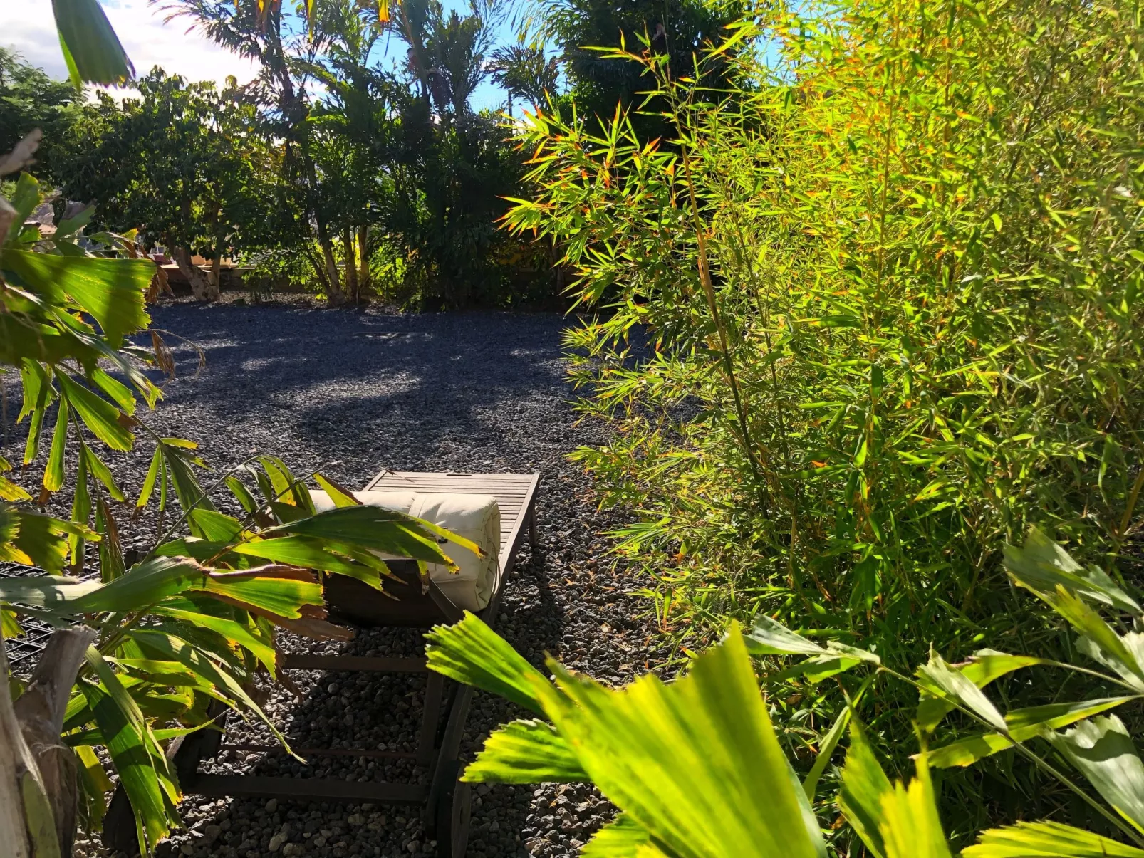 Bioklimatisches Haus auf Teneriffa - Natur - Entspannung - Outside