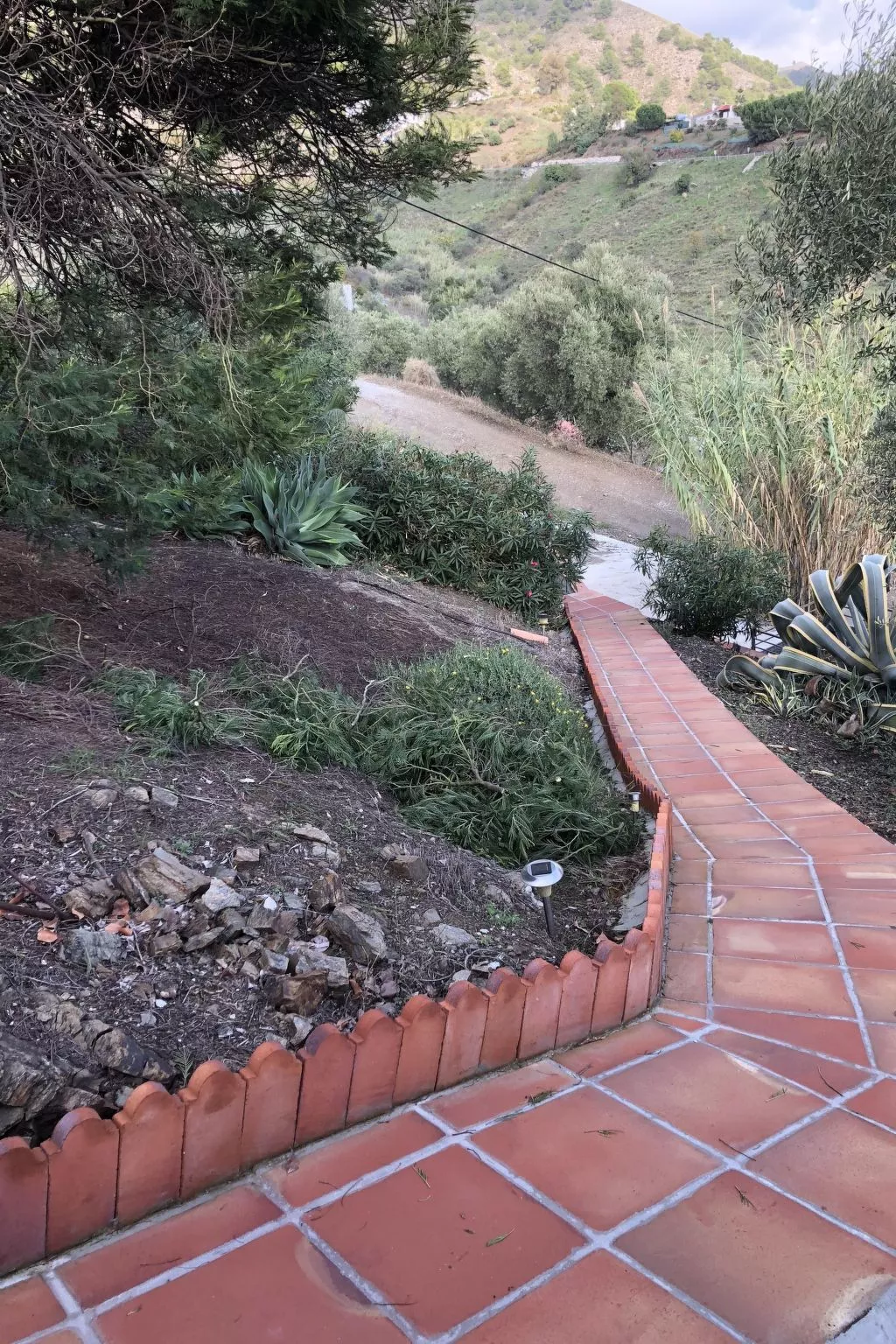 Finca "La Estrella de Cómpeta". - Dehors