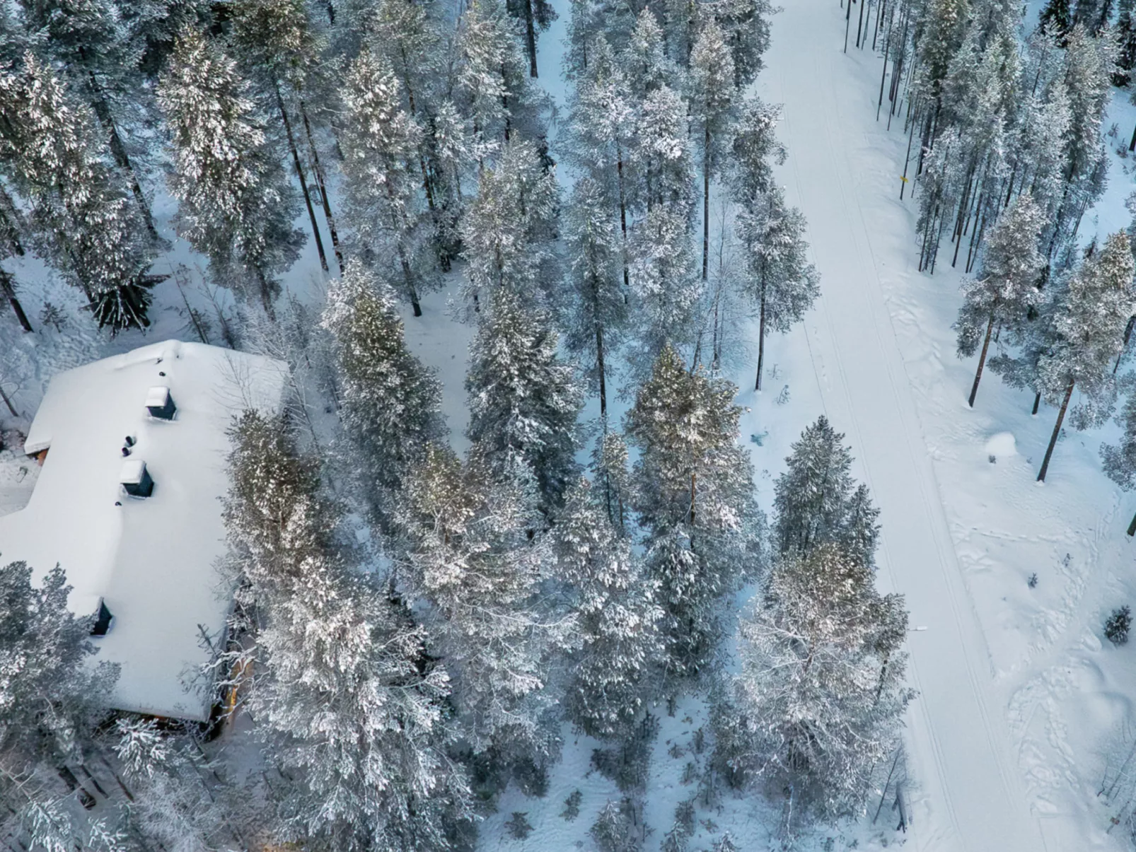 Luppokero 2 - Inside