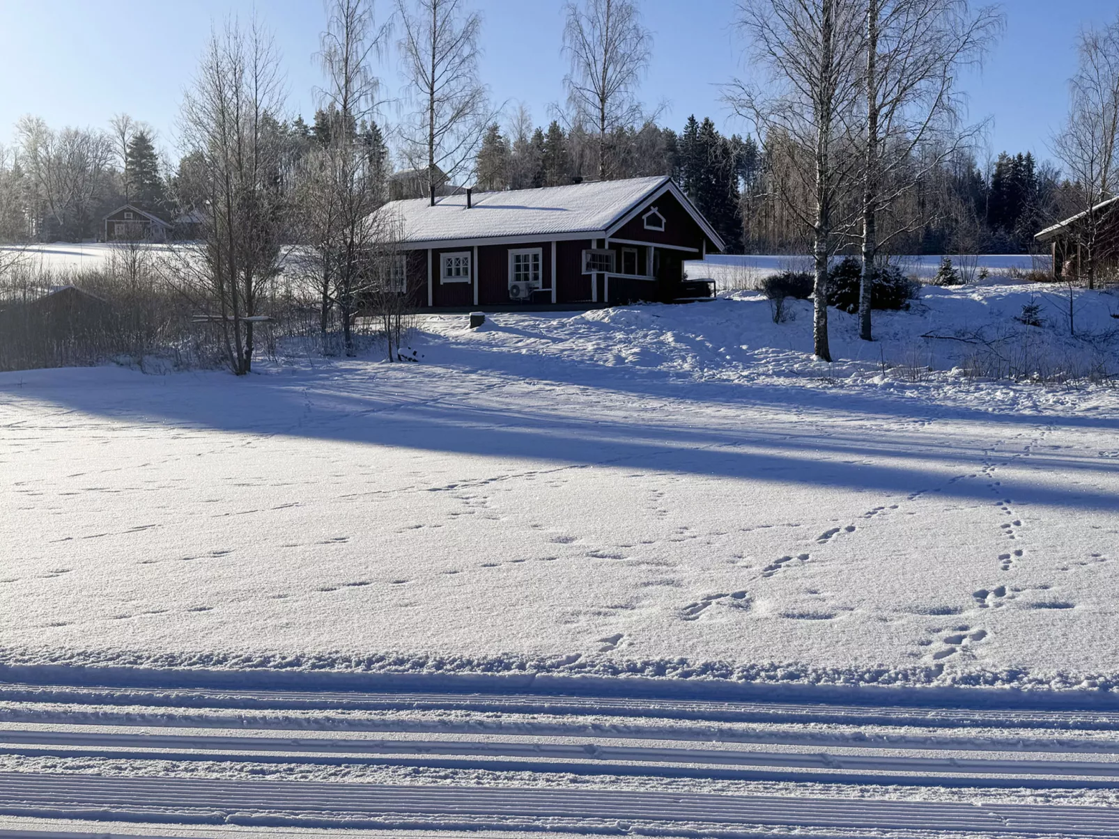 Peltosirkku - Inside