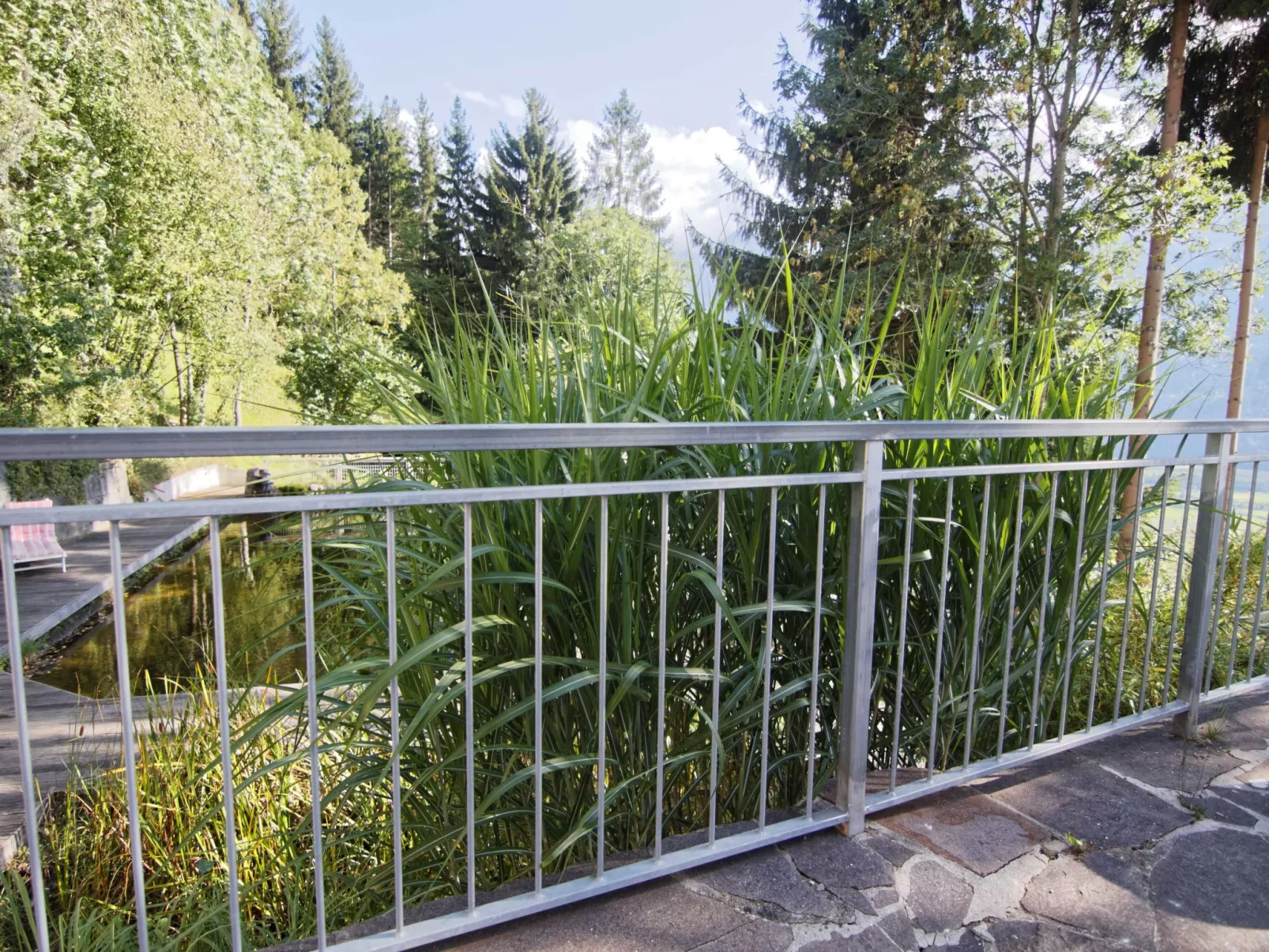 Jacob - Image-tags.info