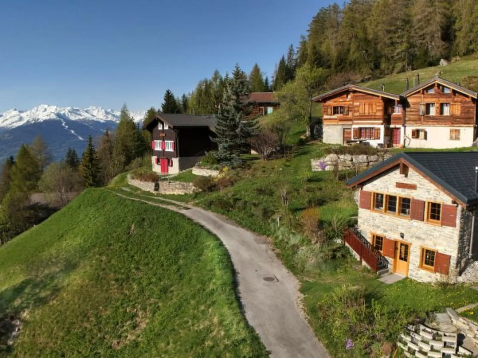 Tiny House facing the Alps - Ski in and out - Outside