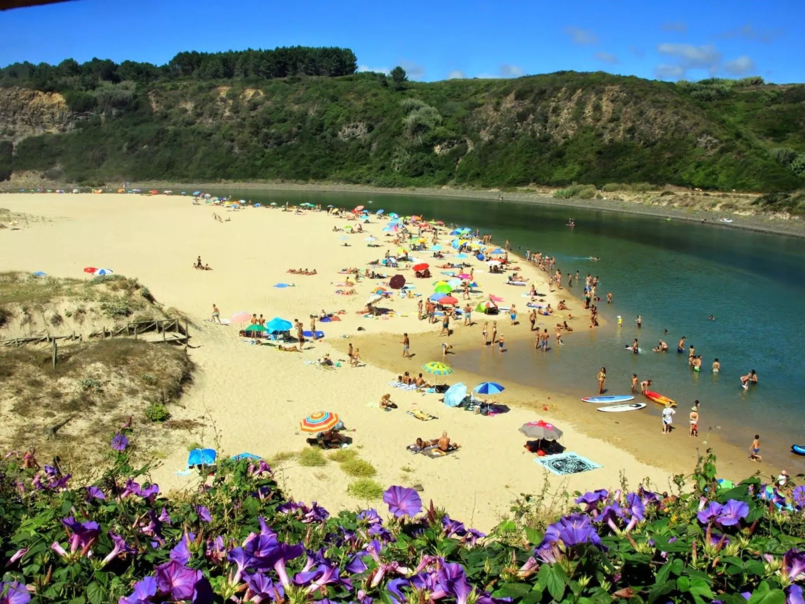 "The Natural Elements" - Outside