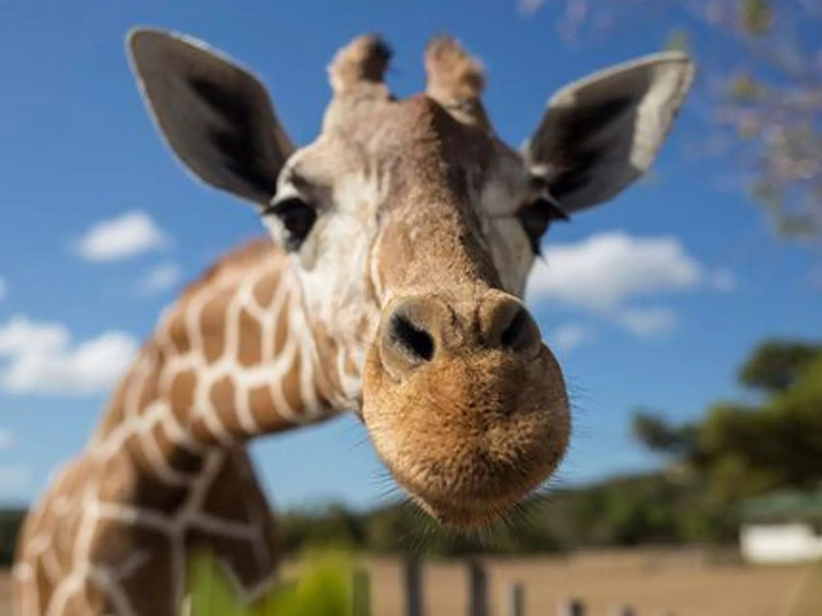 Liebevoll eingerichtetes Apartment Calima Amarilo - Image-tags.info