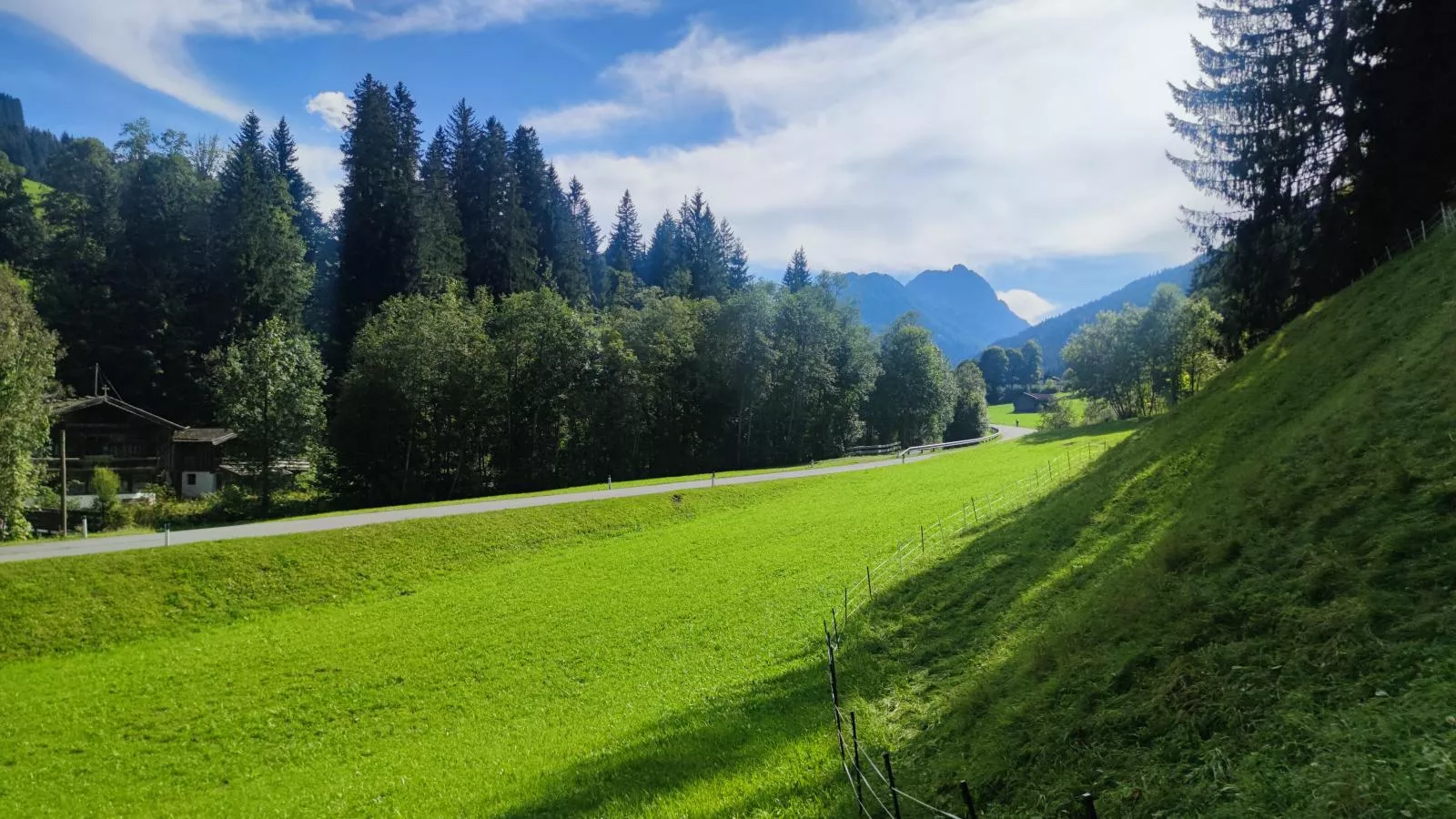 Blick auf den Rettenstein Top 1-View summer