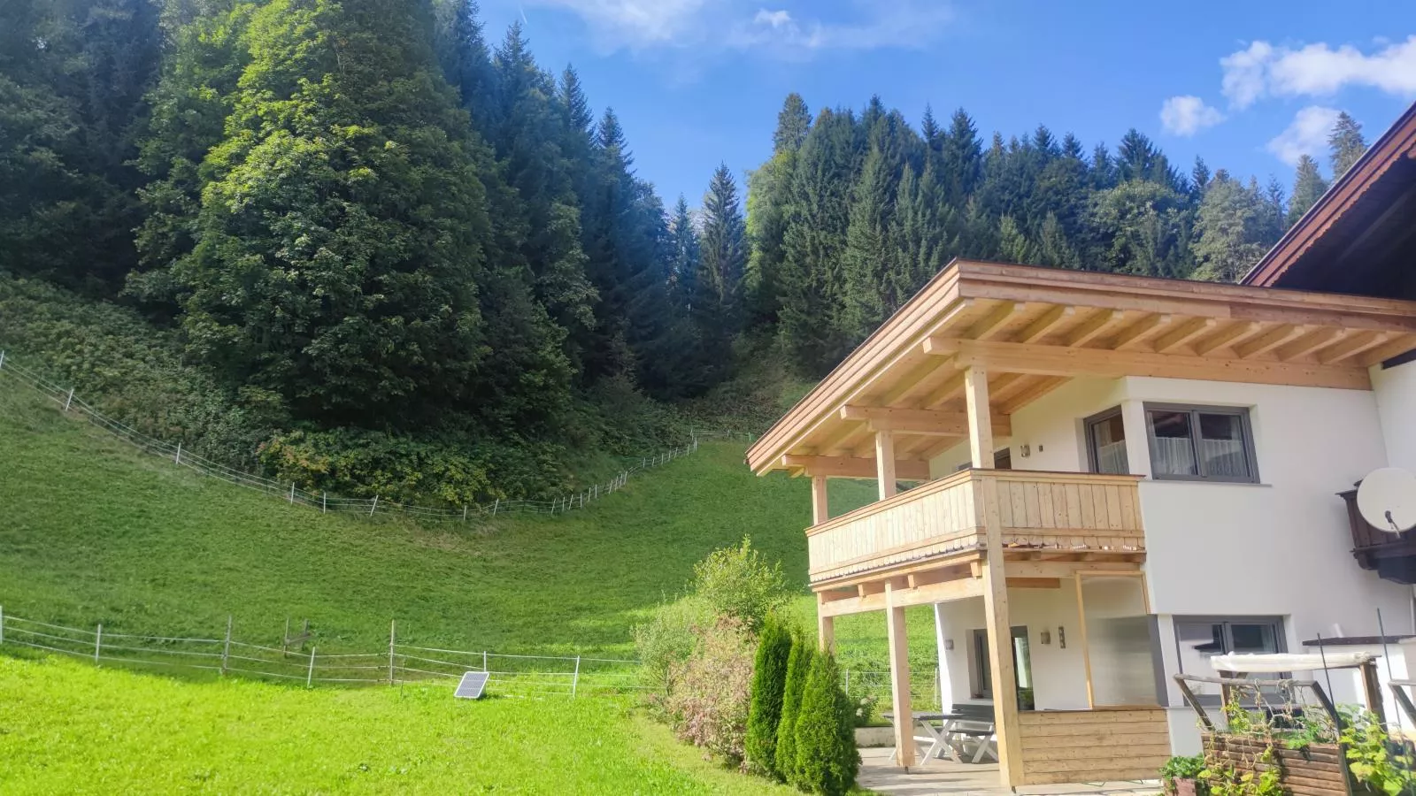 Blick auf den Rettenstein Top 1-Exterior summer