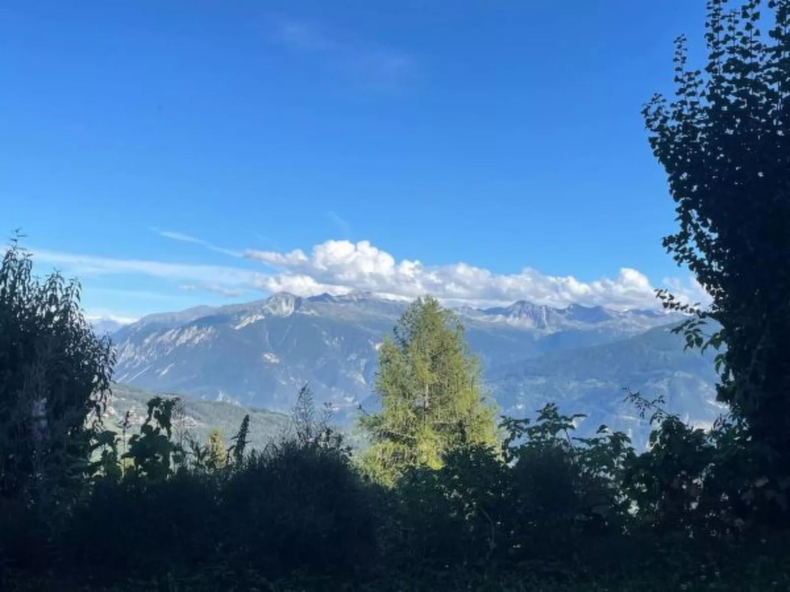 Tiny House facing the Alps - Ski in and out - Outside