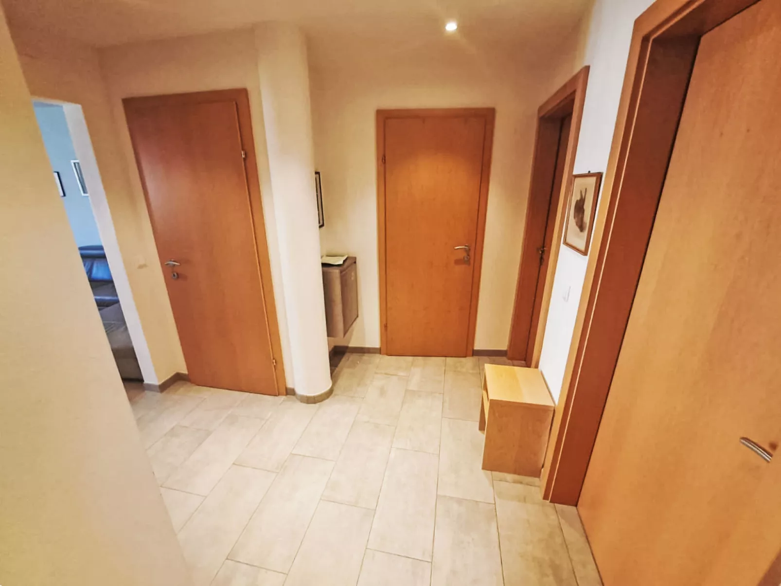 Dr. Adler Top 2 - Dedans