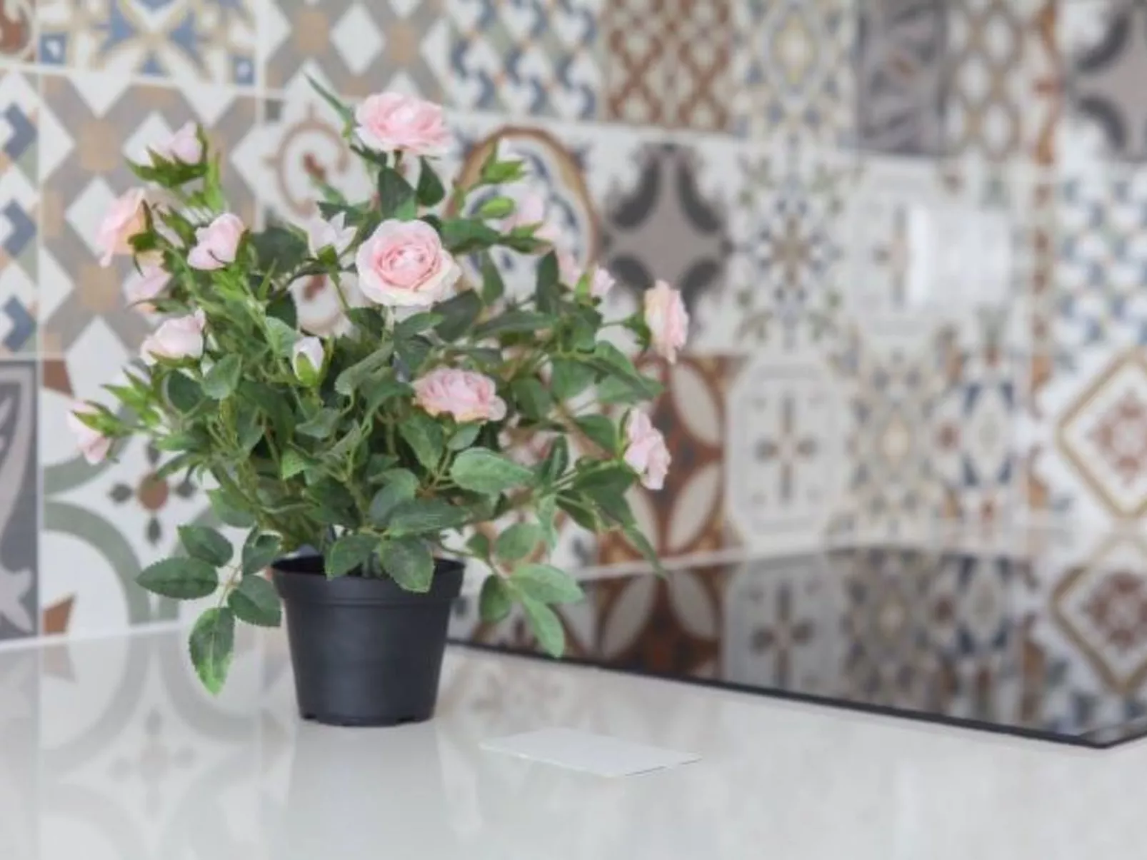 ESTUDIO PLAYA POSTIGUET - Inside