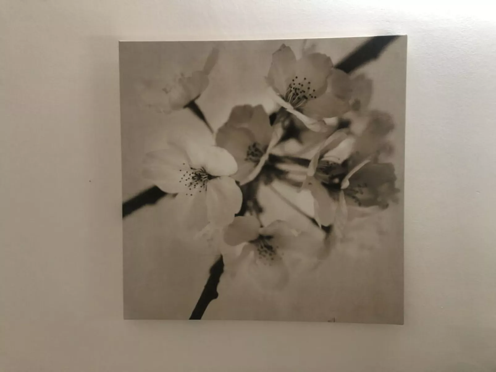 Casa Alessia - Dedans