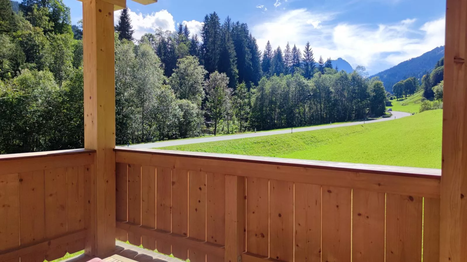 Blick auf den Rettenstein Top 2-View summer