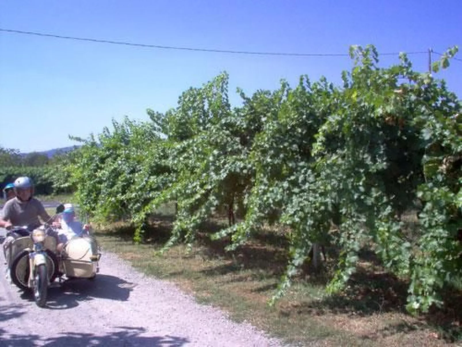 Wohnung "Lavanda" mit Privatparkplatz - Image-tags.info