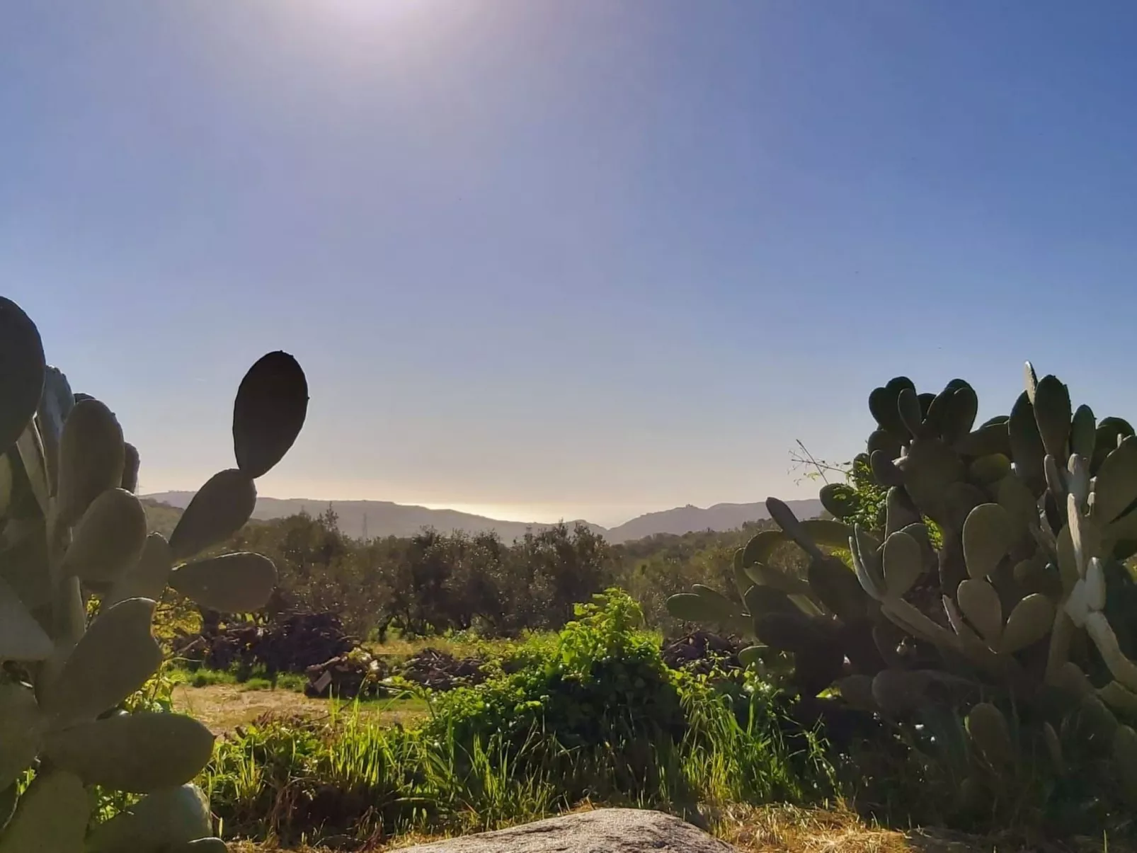 Arcobaleno - Outside