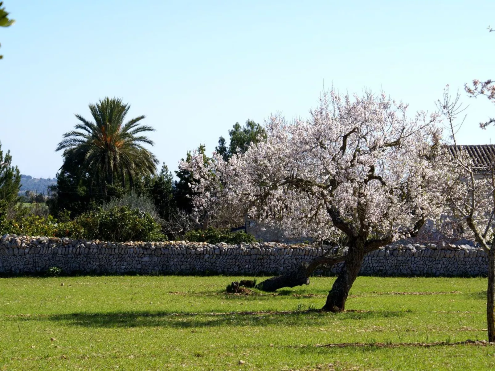 Finca "Son Pereto" mit privatem Pool - Image-tags.info