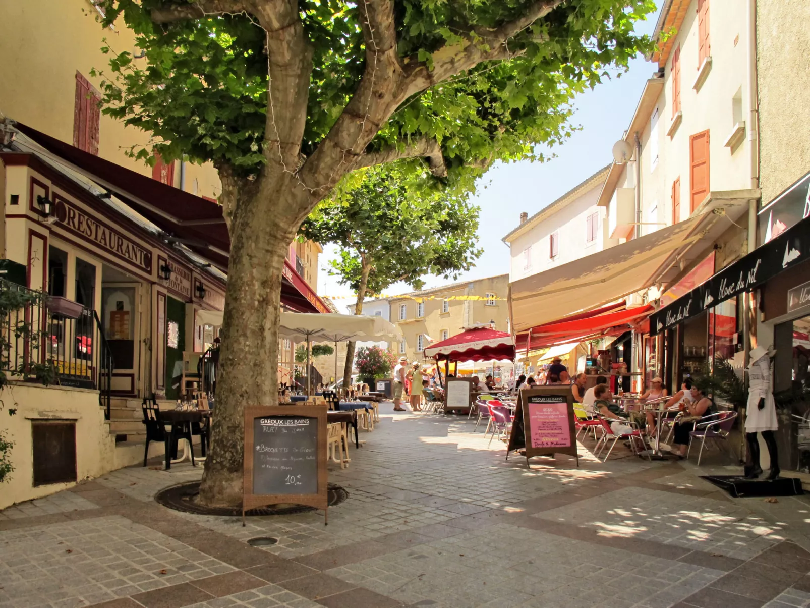 Domaine de Château Laval - Area