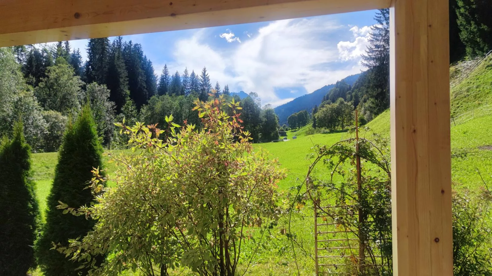Blick auf den Rettenstein Top 1 und 2-View summer