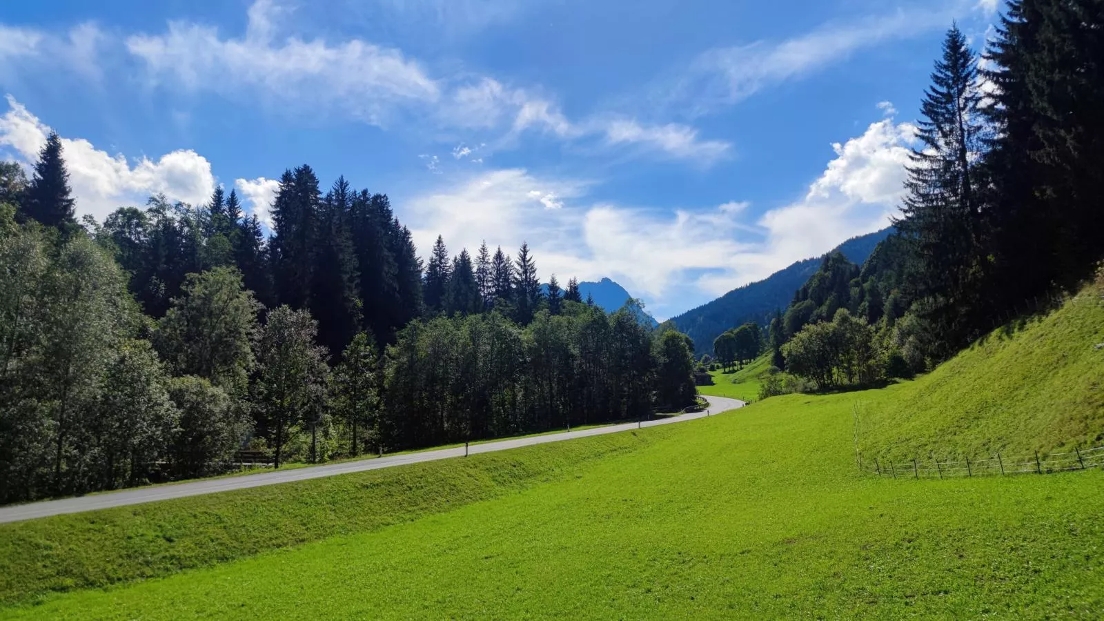 viewsummer
