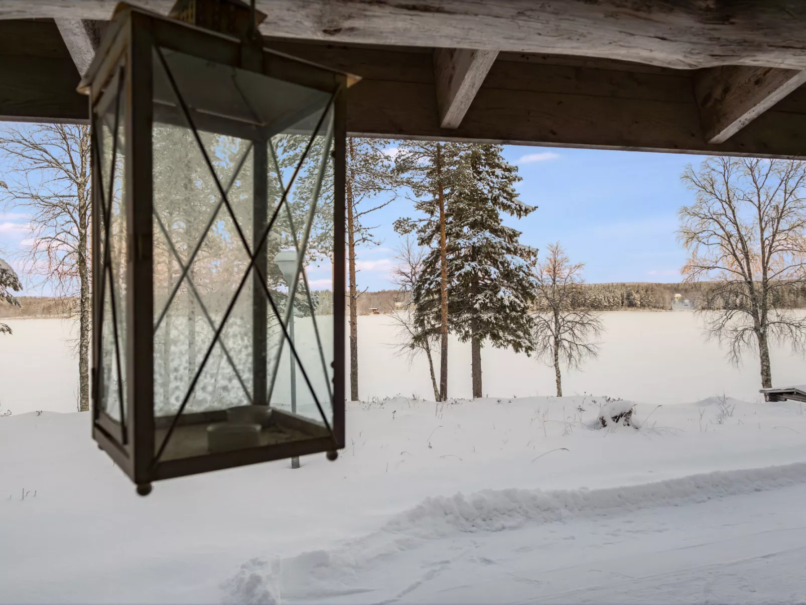 Lumikenttien kutsu - Dedans