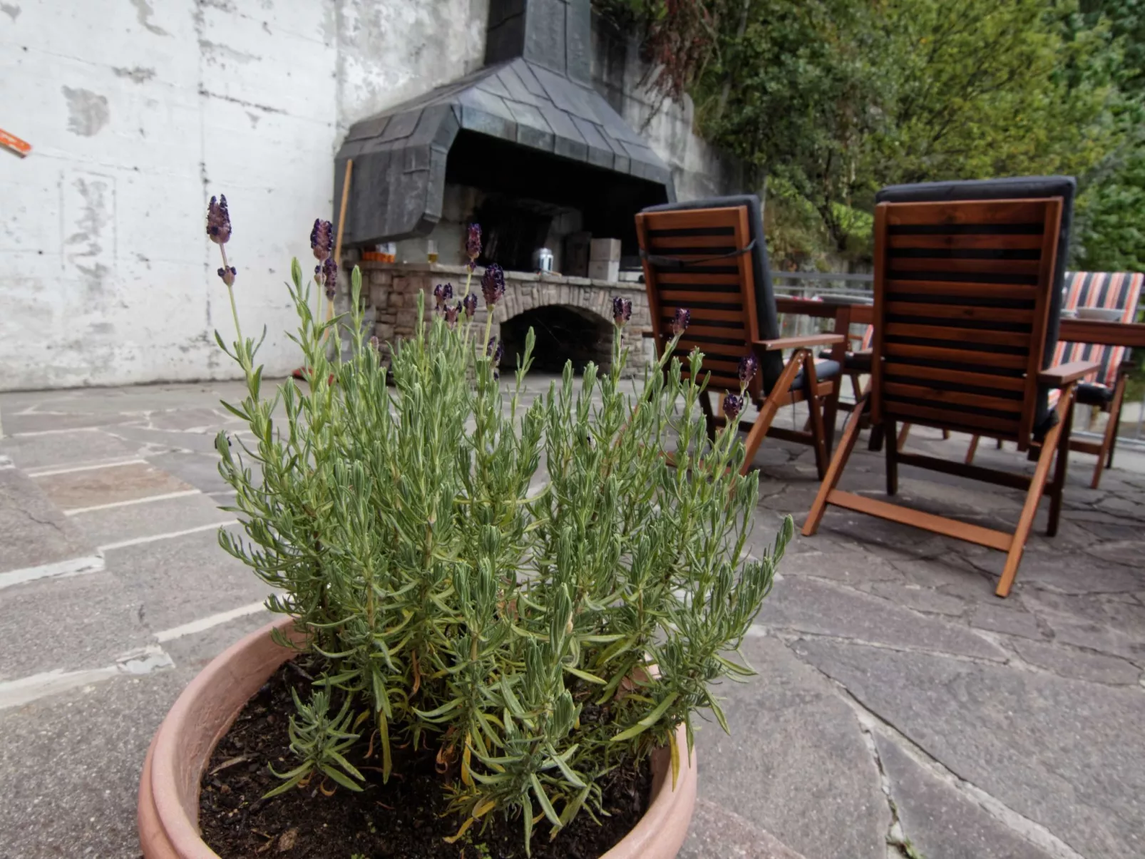 Jacob - Image-tags.info