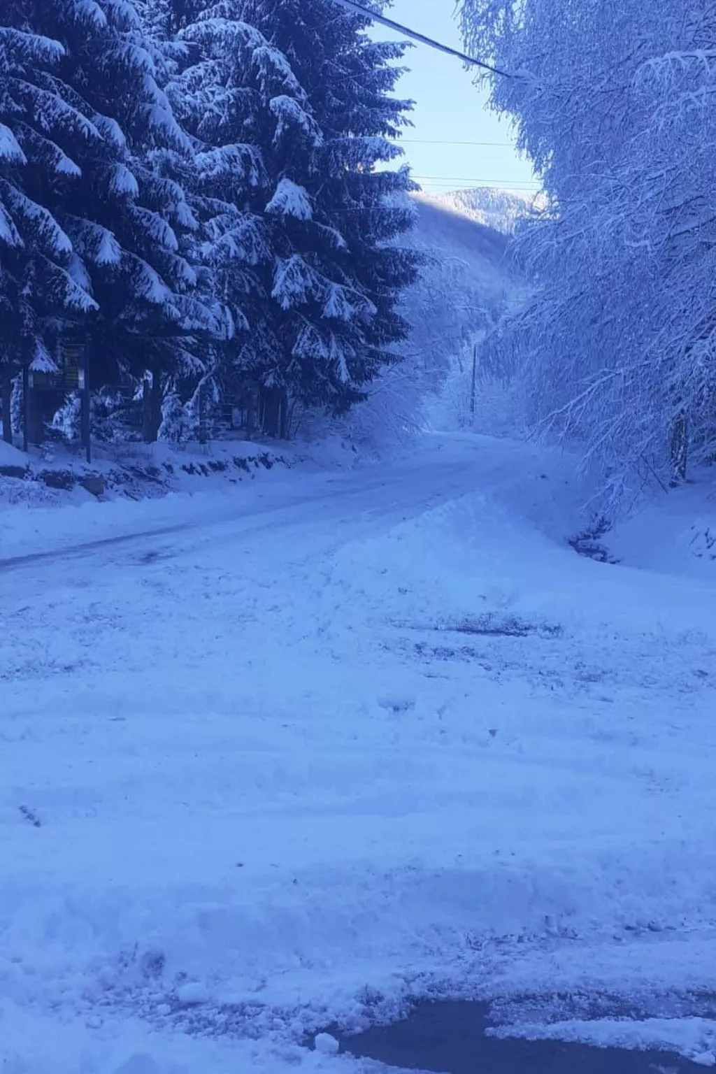 Vila Roberta Breaza Brasov - Outside