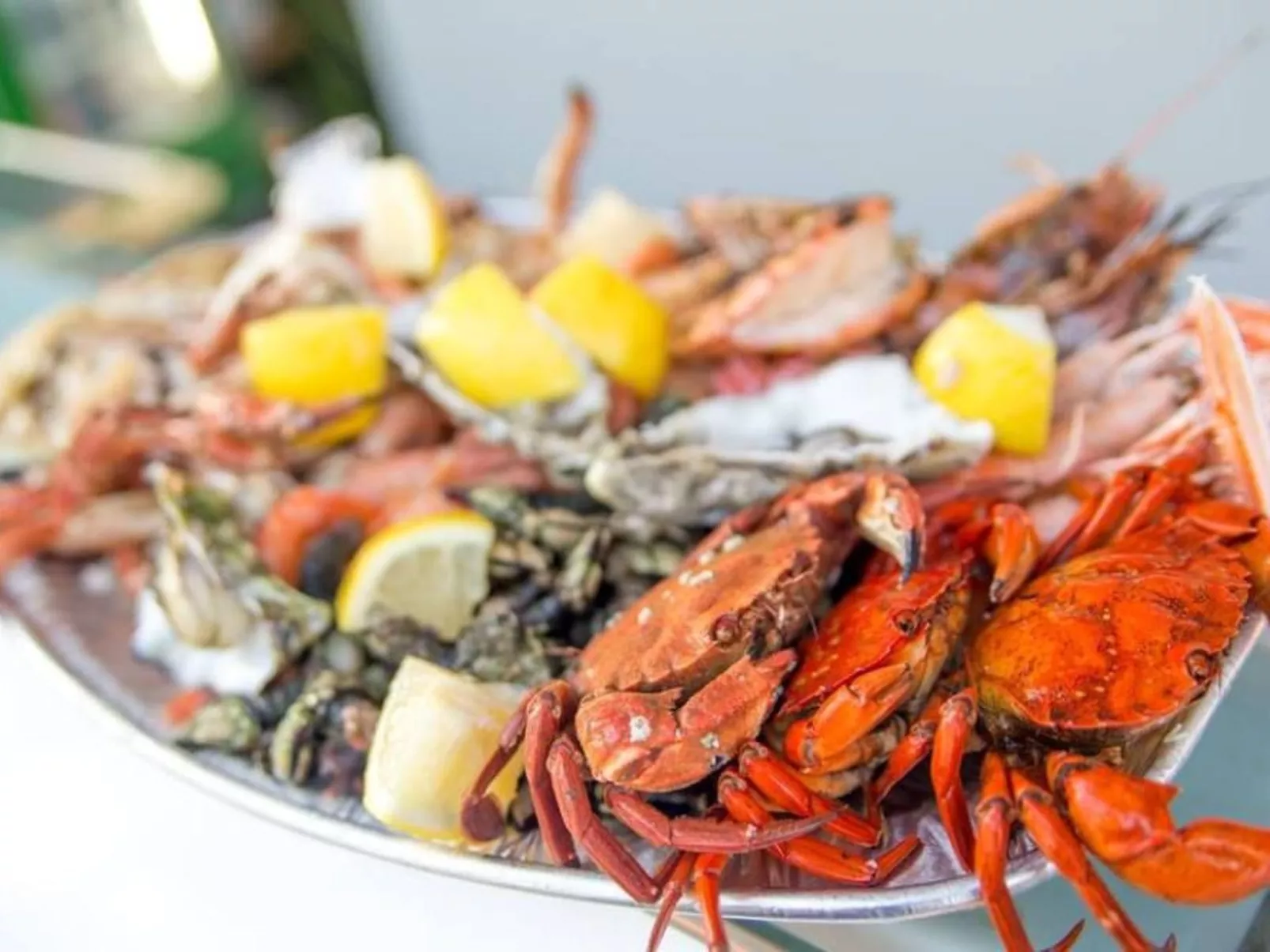 Haus Menezes - Dehors