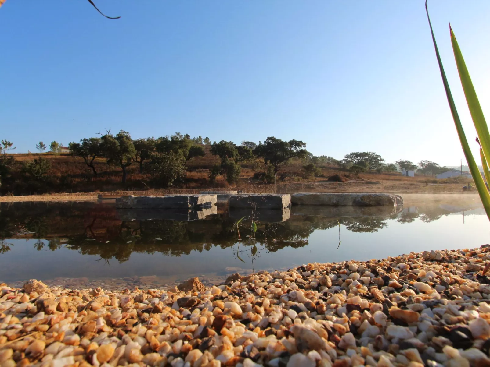 "The Natural Elements" - Outside