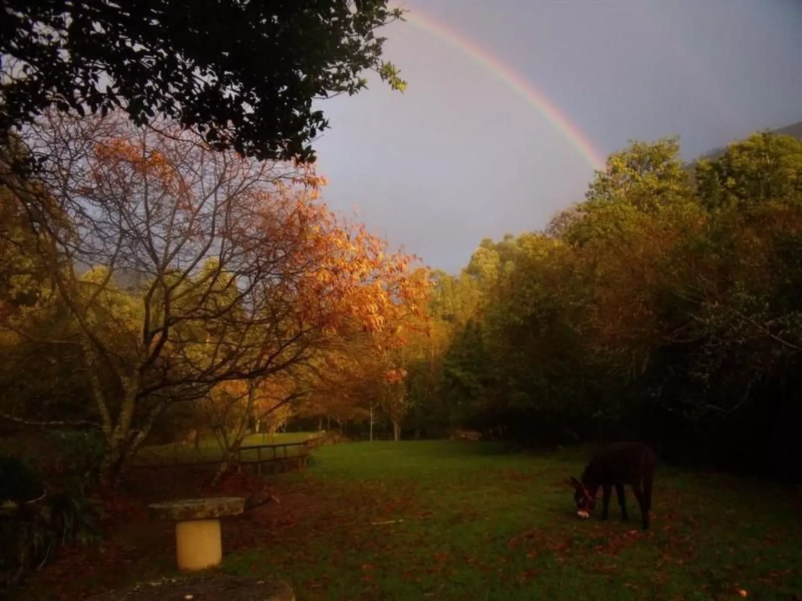 NATUR IN IHRER REINSTEN FORM - Image-tags.info
