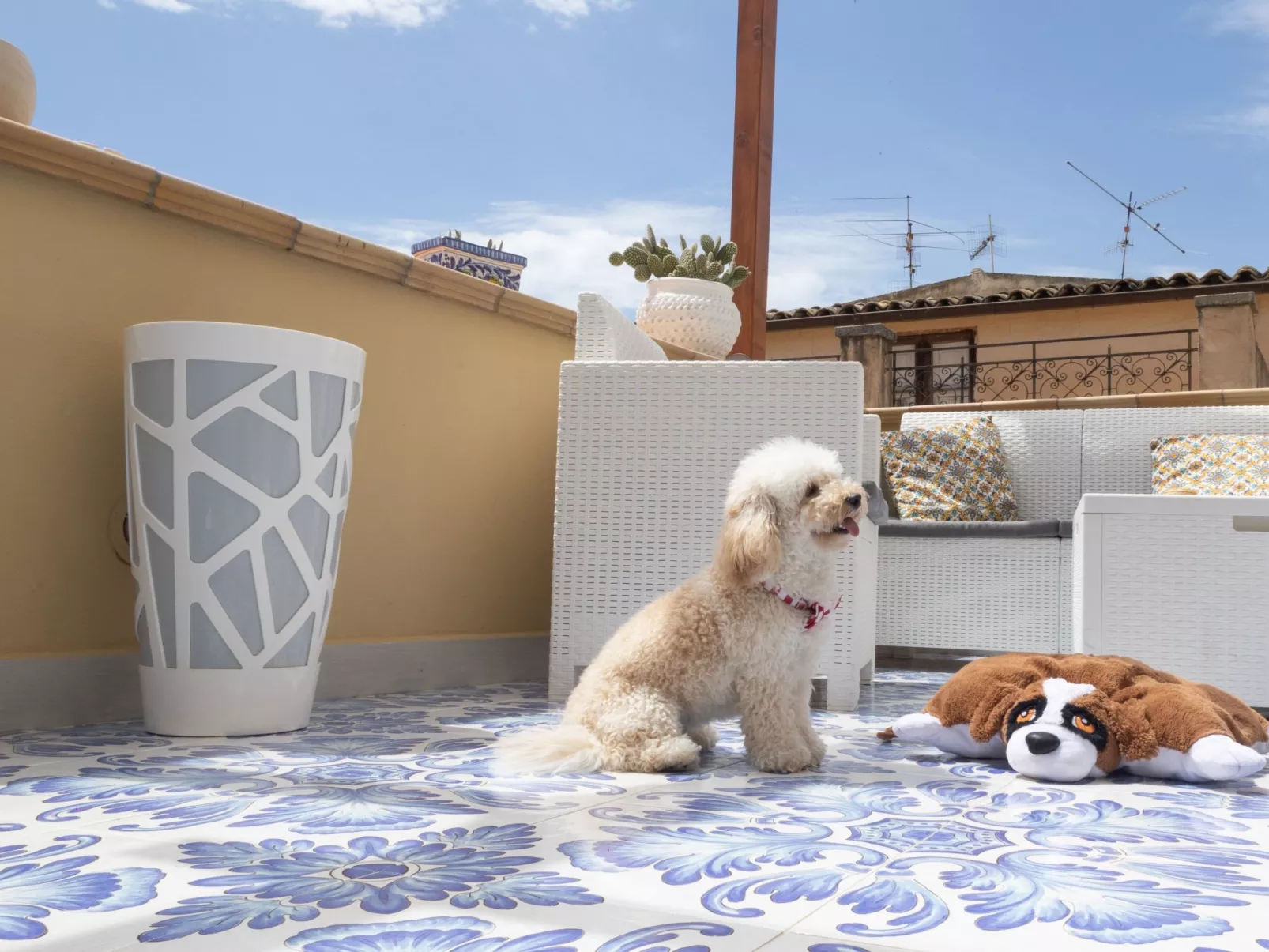 Aus der Tradition geboren, aber in die Innovation eingetaucht - Outside