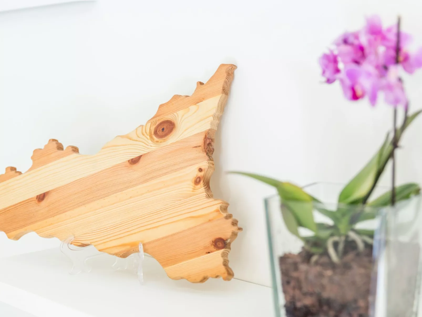 Aus der Tradition geboren, aber in die Innovation eingetaucht - Inside