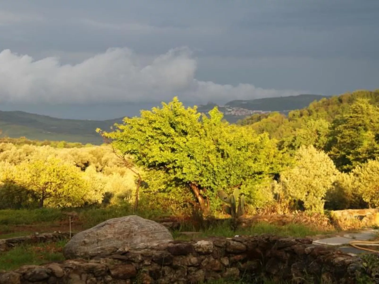 Arcobaleno - Outside