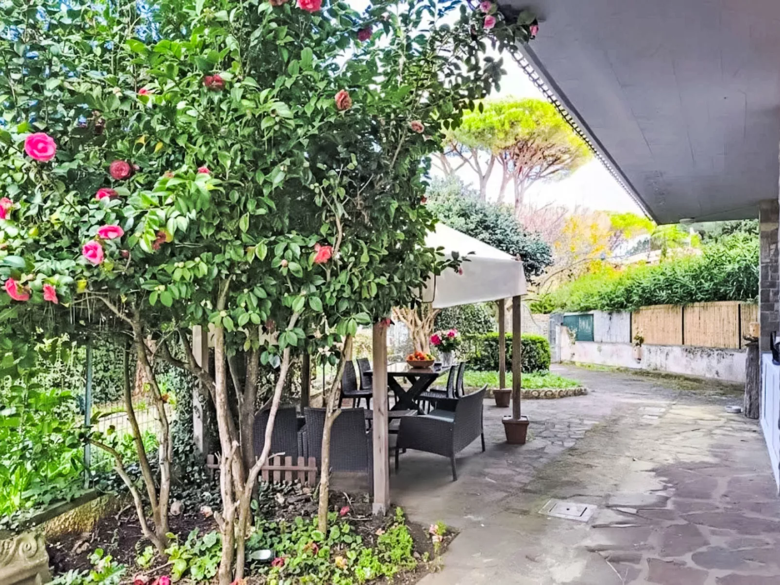 Atelier Vella - Dehors