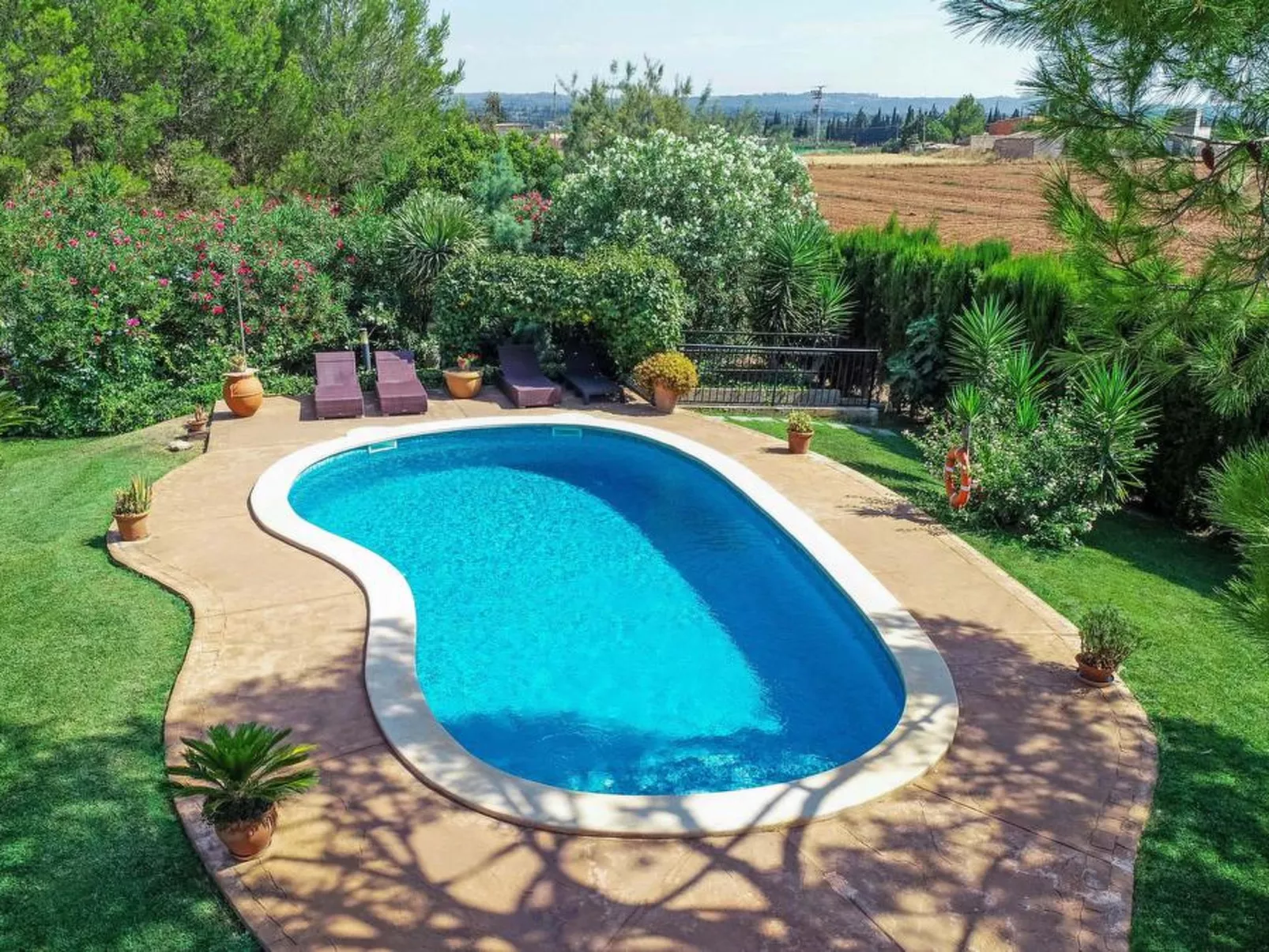 San Vicente - Image-tags.info