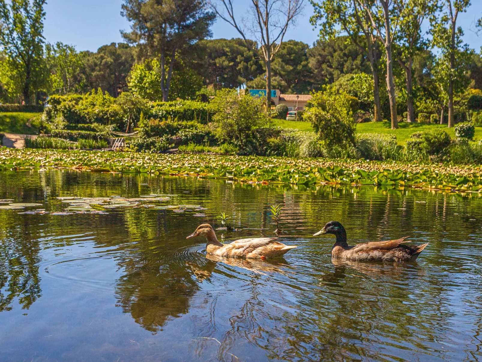 Le Verdon - Draußen