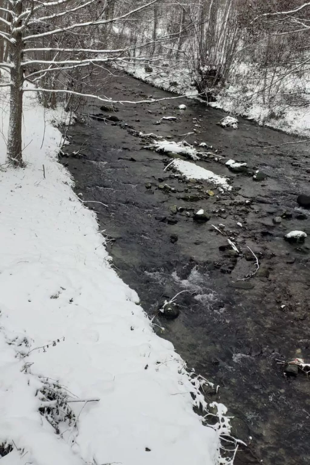 Vila Roberta Breaza Brasov - Outside