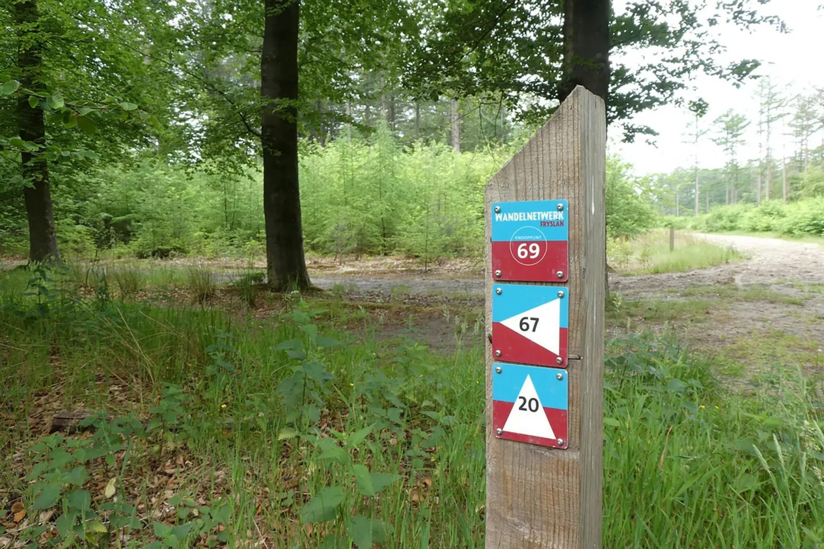 Boshuisje De Koolmees-Areas summer 5km