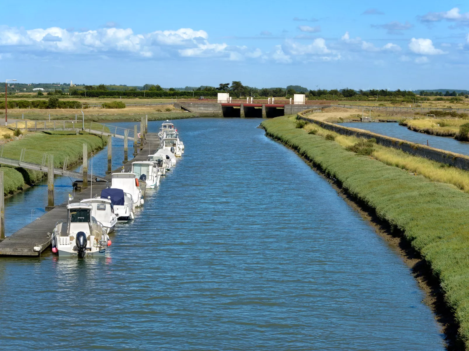 Les Rainettes - Umgebung
