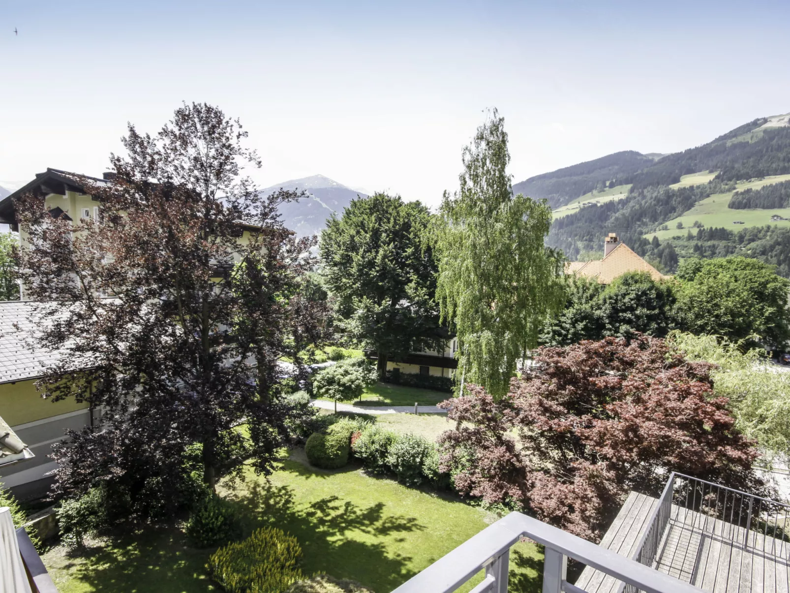 Dr. Adler Top 2 - Dehors