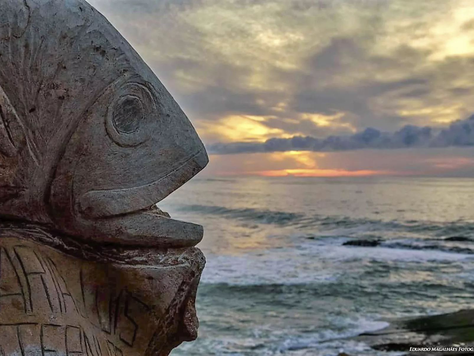 Haus Menezes - Dehors