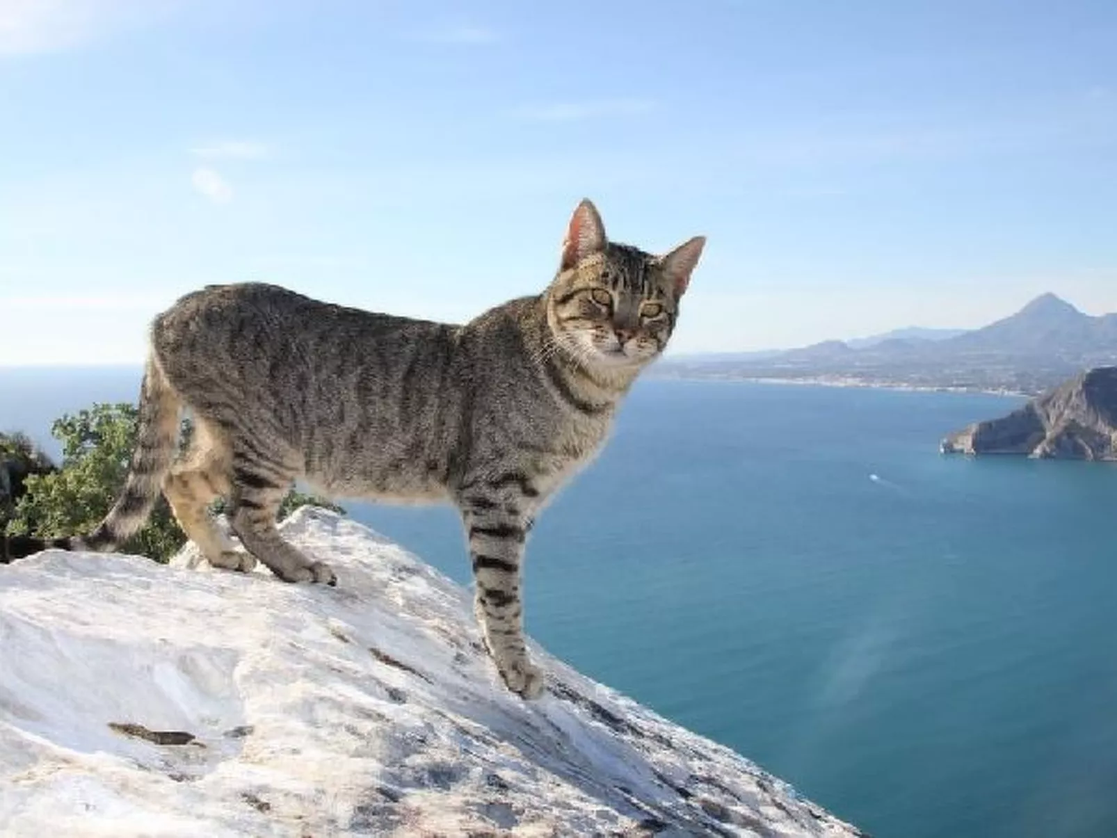 Villa Andres - Plus - Image-tags.info