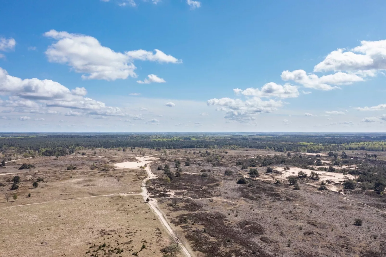 Resort Brinckerduyn 5-Areas summer 5km