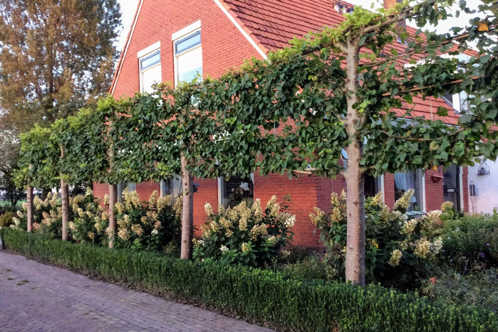 De Kerkereed-Areas summer 1km